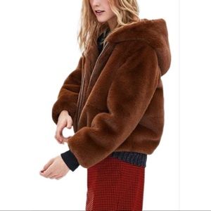 Zara Teddy Bear Jacket NWOT.